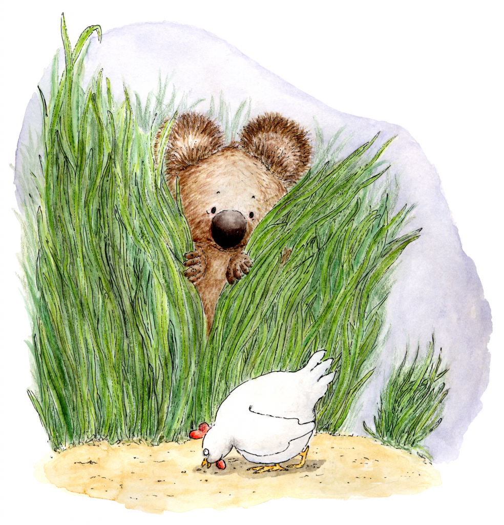Koala, koala björn, kinderbuch, kinderbuch illustration, childrenbook illustration, eva Bergstrom, illustratrice, Zeichner, koala beer, akvarell, Aquarelle, livre jeunesse, kinderboeken